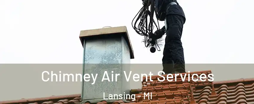  Chimney Air Vent Services Lansing - MI