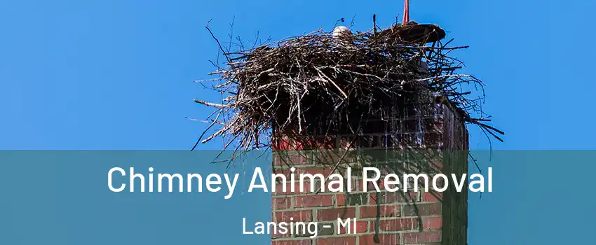  Chimney Animal Removal Lansing - MI