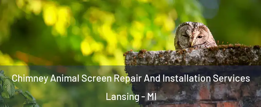  Chimney Animal Screen Repair And Installation Services Lansing - MI