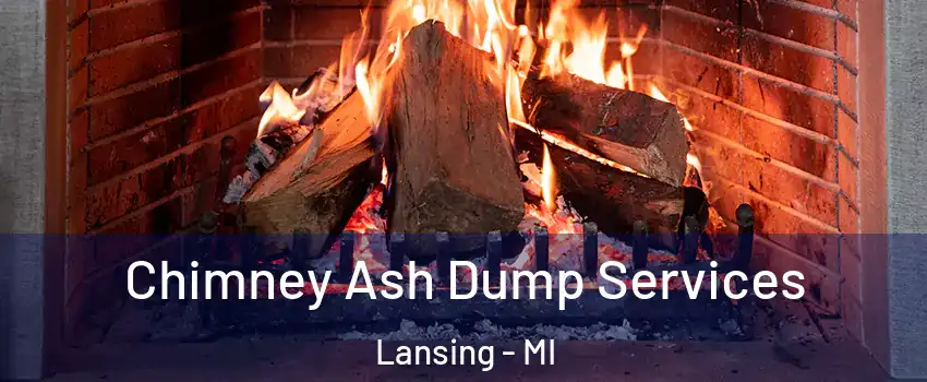  Chimney Ash Dump Services Lansing - MI