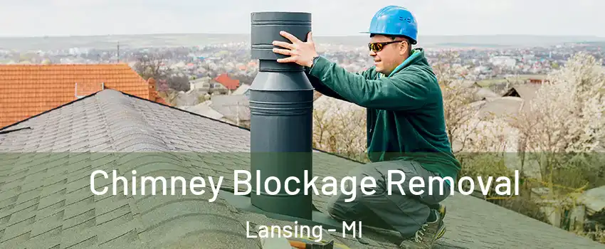 Chimney Blockage Removal Lansing - MI