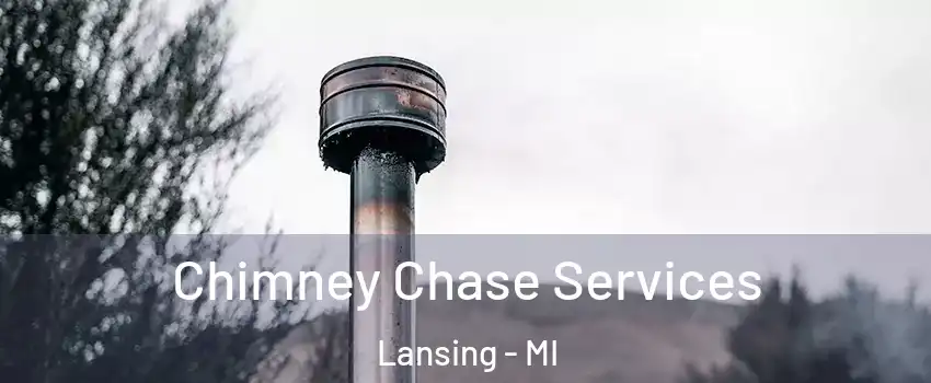  Chimney Chase Services Lansing - MI