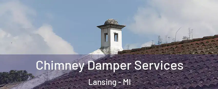  Chimney Damper Services Lansing - MI