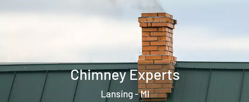  Chimney Experts Lansing - MI