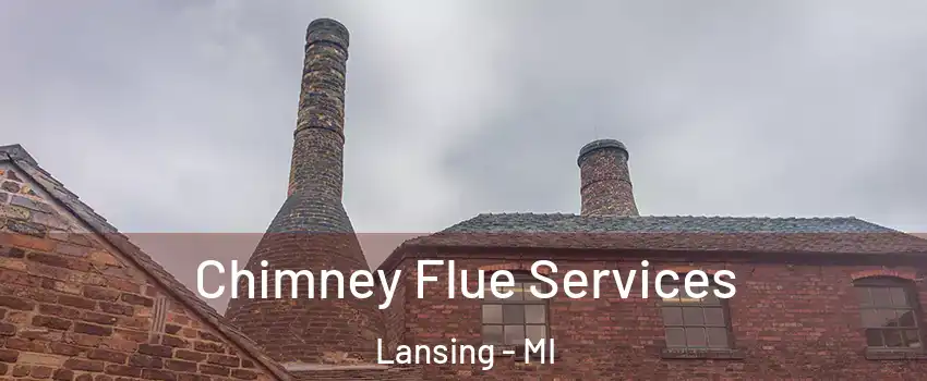  Chimney Flue Services Lansing - MI