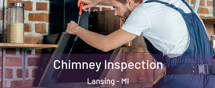  Chimney Inspection Lansing - MI