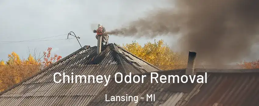  Chimney Odor Removal Lansing - MI