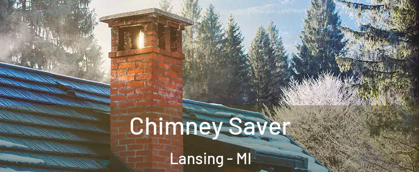  Chimney Saver Lansing - MI