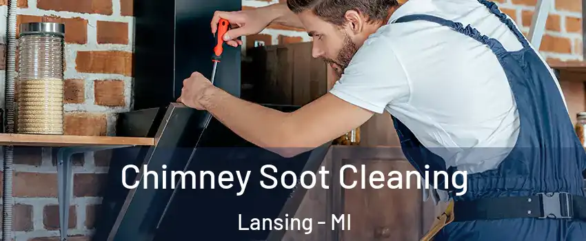  Chimney Soot Cleaning Lansing - MI
