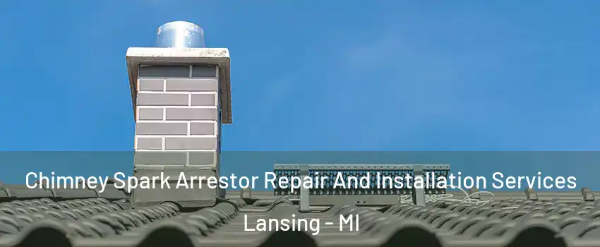  Chimney Spark Arrestor Repair And Installation Services Lansing - MI