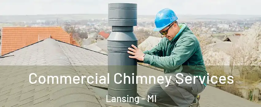  Commercial Chimney Services Lansing - MI