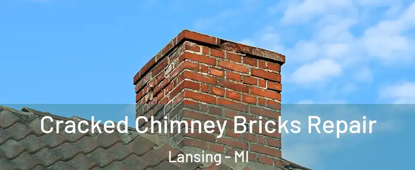  Cracked Chimney Bricks Repair Lansing - MI
