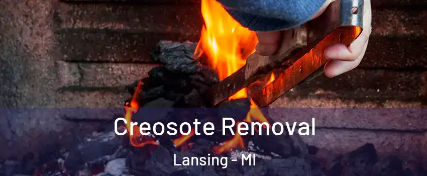  Creosote Removal Lansing - MI