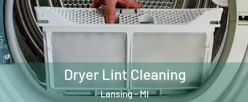  Dryer Lint Cleaning Lansing - MI