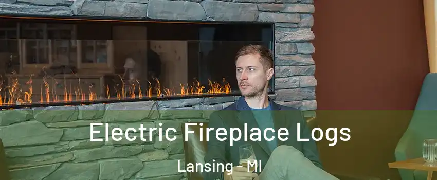  Electric Fireplace Logs Lansing - MI