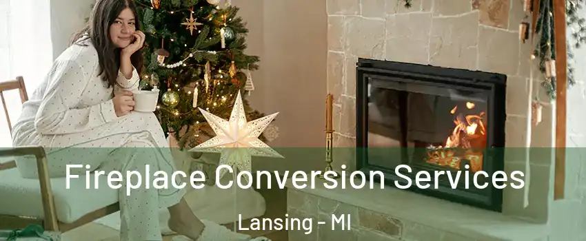  Fireplace Conversion Services Lansing - MI