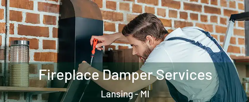  Fireplace Damper Services Lansing - MI