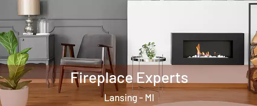  Fireplace Experts Lansing - MI