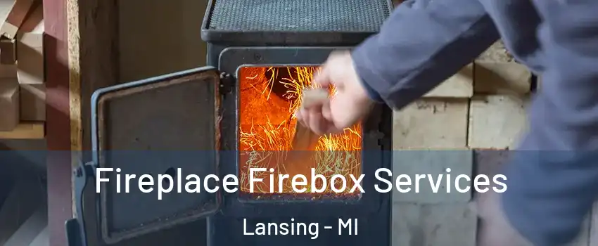  Fireplace Firebox Services Lansing - MI