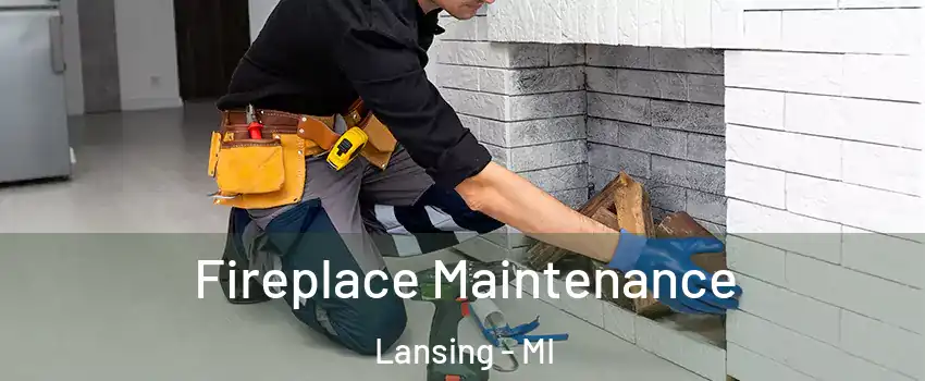  Fireplace Maintenance Lansing - MI