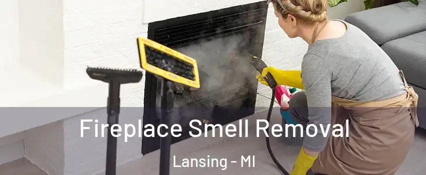  Fireplace Smell Removal Lansing - MI