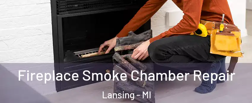  Fireplace Smoke Chamber Repair Lansing - MI