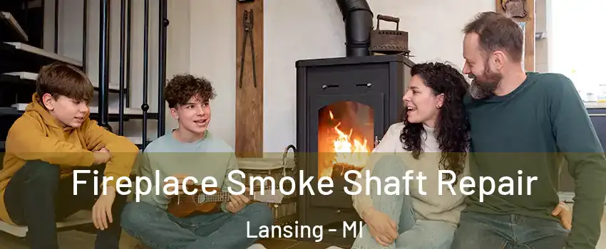  Fireplace Smoke Shaft Repair Lansing - MI