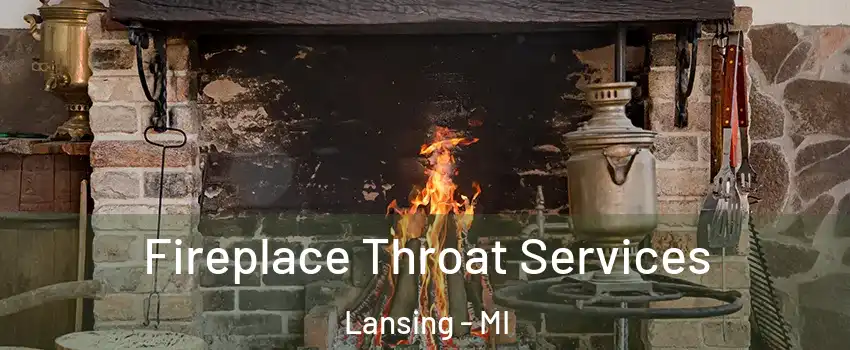  Fireplace Throat Services Lansing - MI