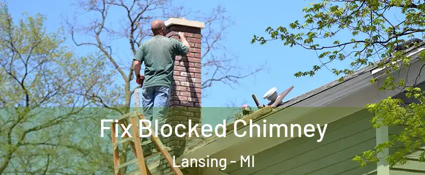  Fix Blocked Chimney Lansing - MI