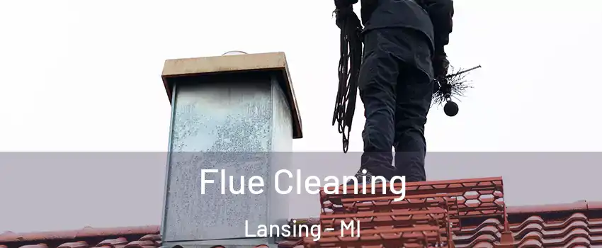  Flue Cleaning Lansing - MI