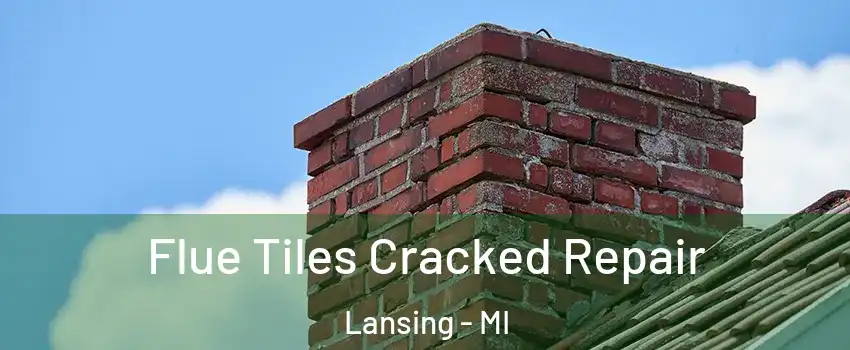  Flue Tiles Cracked Repair Lansing - MI