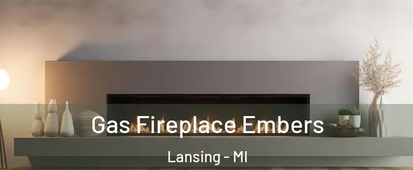  Gas Fireplace Embers Lansing - MI