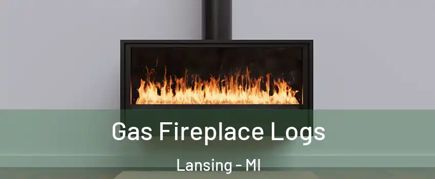  Gas Fireplace Logs Lansing - MI