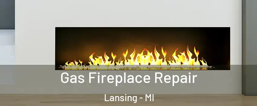  Gas Fireplace Repair Lansing - MI
