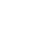 Professional Chimney Flue Installation in Lansing, Michigan