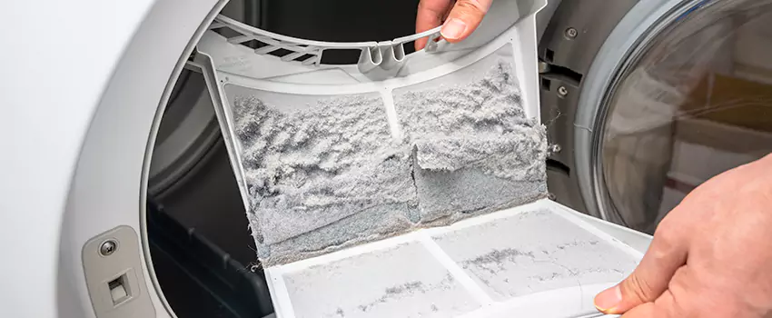 Best Dryer Lint Removal Company in Lansing, Michigan