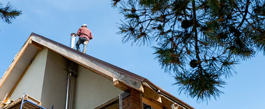 Birds Removal Contractors from Chimney in Lansing, MI