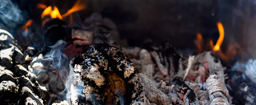 Creosote Removal Experts in Lansing, MI