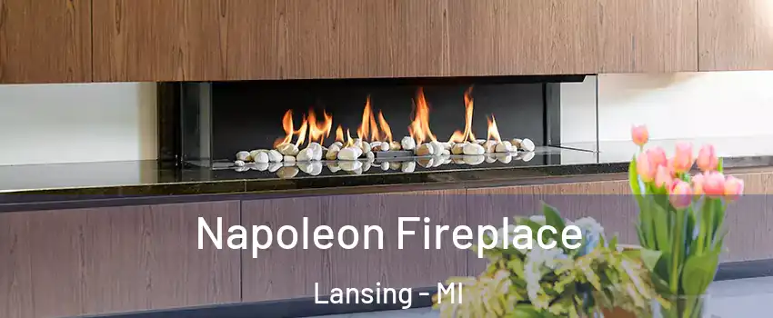  Napoleon Fireplace Lansing - MI
