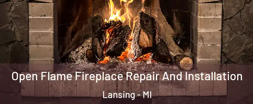  Open Flame Fireplace Repair And Installation Lansing - MI