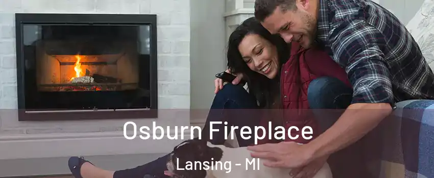  Osburn Fireplace Lansing - MI