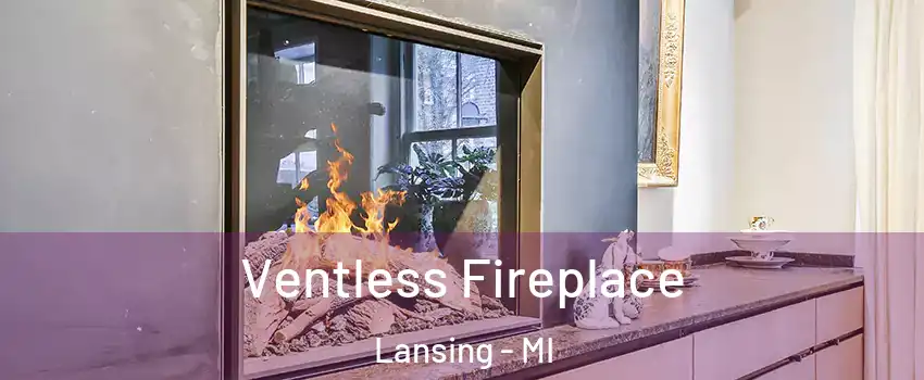 Ventless Fireplace Lansing - MI