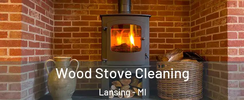  Wood Stove Cleaning Lansing - MI